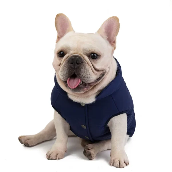 Manteau chaud pour bouledogue français – Image 8