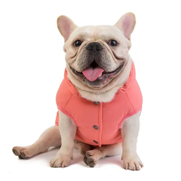 Manteau chaud pour bouledogue français – Image 9