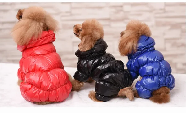 Doudoune d'hiver pour chien – Image 6