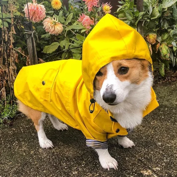 Manteau imperméable jaune pour chien – Image 10