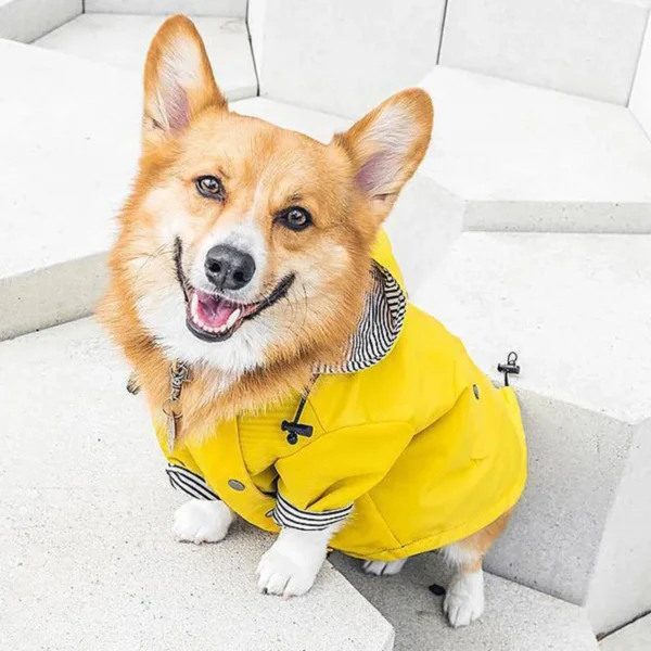 Manteau imperméable jaune pour chien – Image 9