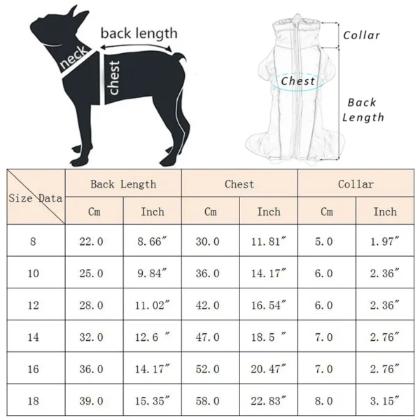Combinaison d'hiver pour chihuahua, teckel et bichon – Image 2