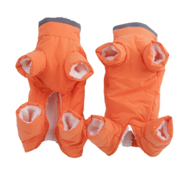 Combinaison d'hiver pour chihuahua, teckel et bichon – Image 3