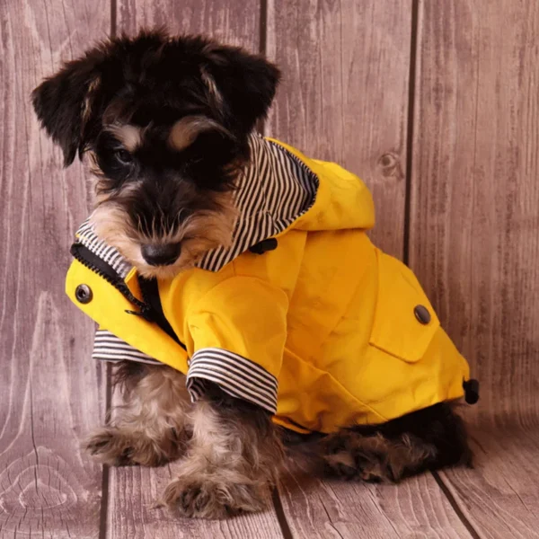 Manteau imperméable jaune pour chien – Image 5