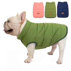 Manteau chaud pour bouledogue français