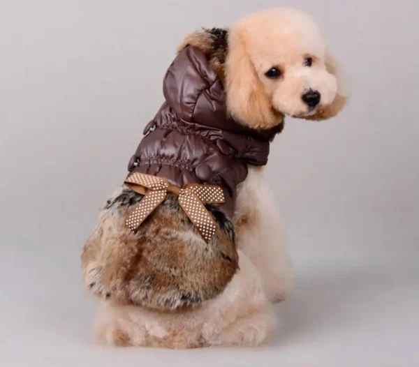 Manteau d'hiver pour chien à capuche avec fourrure