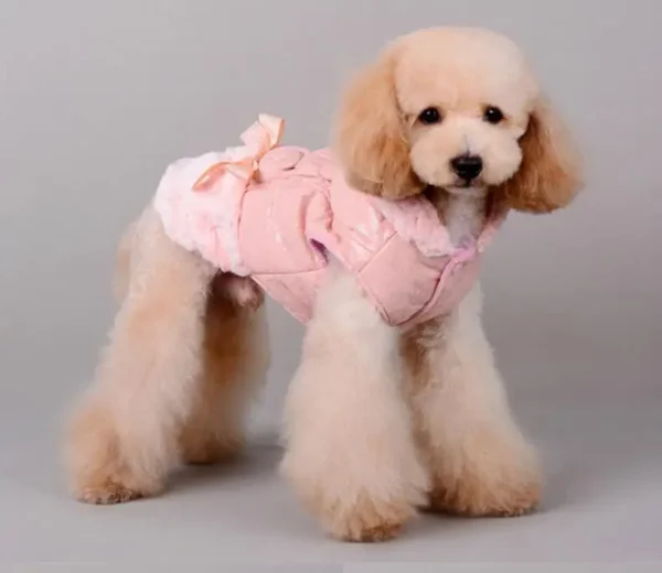 Manteau d'hiver pour chien à capuche avec fourrure – Image 7