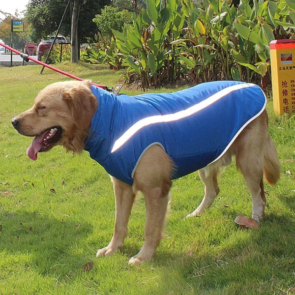 Manteau réfléchissants pour grand chien – Image 2