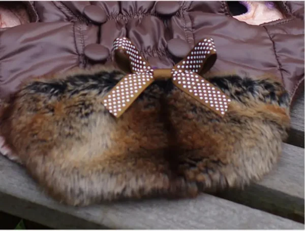 Manteau d'hiver pour chien à capuche avec fourrure – Image 8