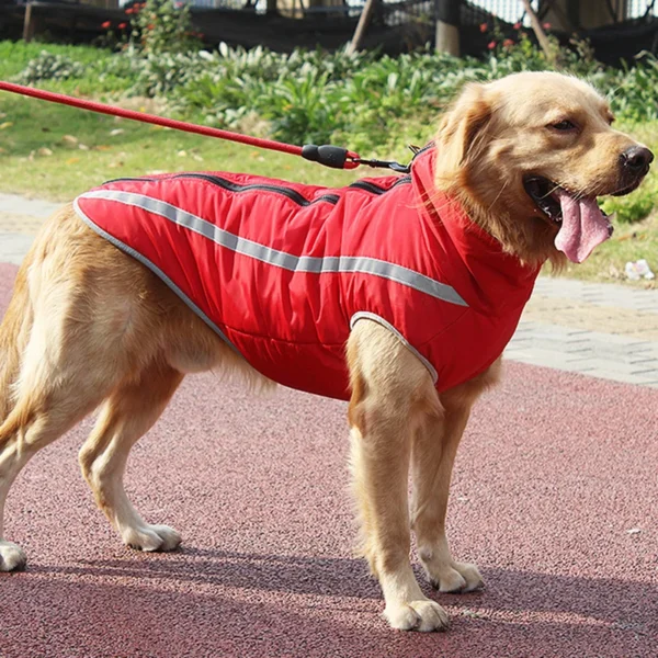 Manteau réfléchissants pour grand chien – Image 5