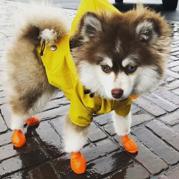 Manteau imperméable jaune pour chien – Image 4