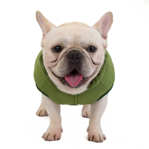Manteau chaud pour bouledogue français – Image 7