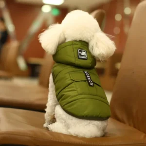 Manteau imperméable d'hiver pour petit chien et chiot