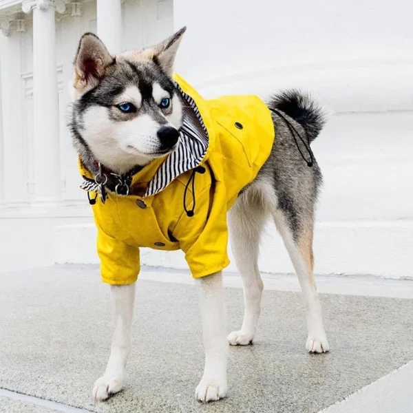 Manteau imperméable jaune pour chien – Image 8