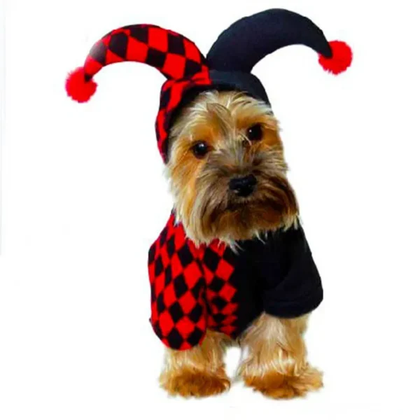 Manteau pour chien Halloween de Clown