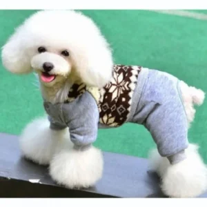 Manteau d'hiver pour chien