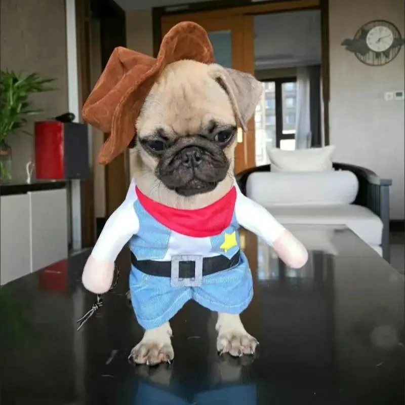 Costume pour chien d'Halloween de cowboy