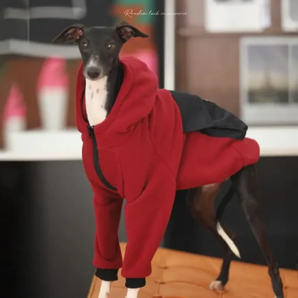 Mode à capuche Whippet lévrier italien vêtements avec fermeture éclair chaud chien sweat italien Iggy manteau Whippet vêtements en hiver – Image 2