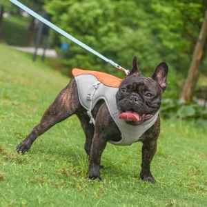 Manteau d'été rafraichissante pour petits et moyens chiens