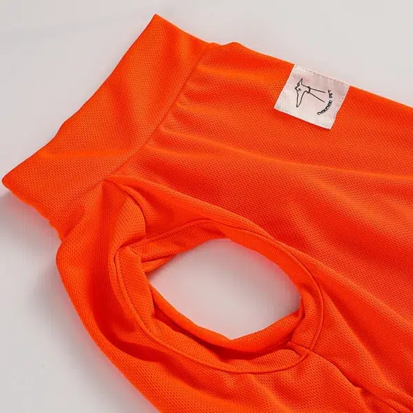 Manteau rafraichissant pour lévrier whippet – Image 10