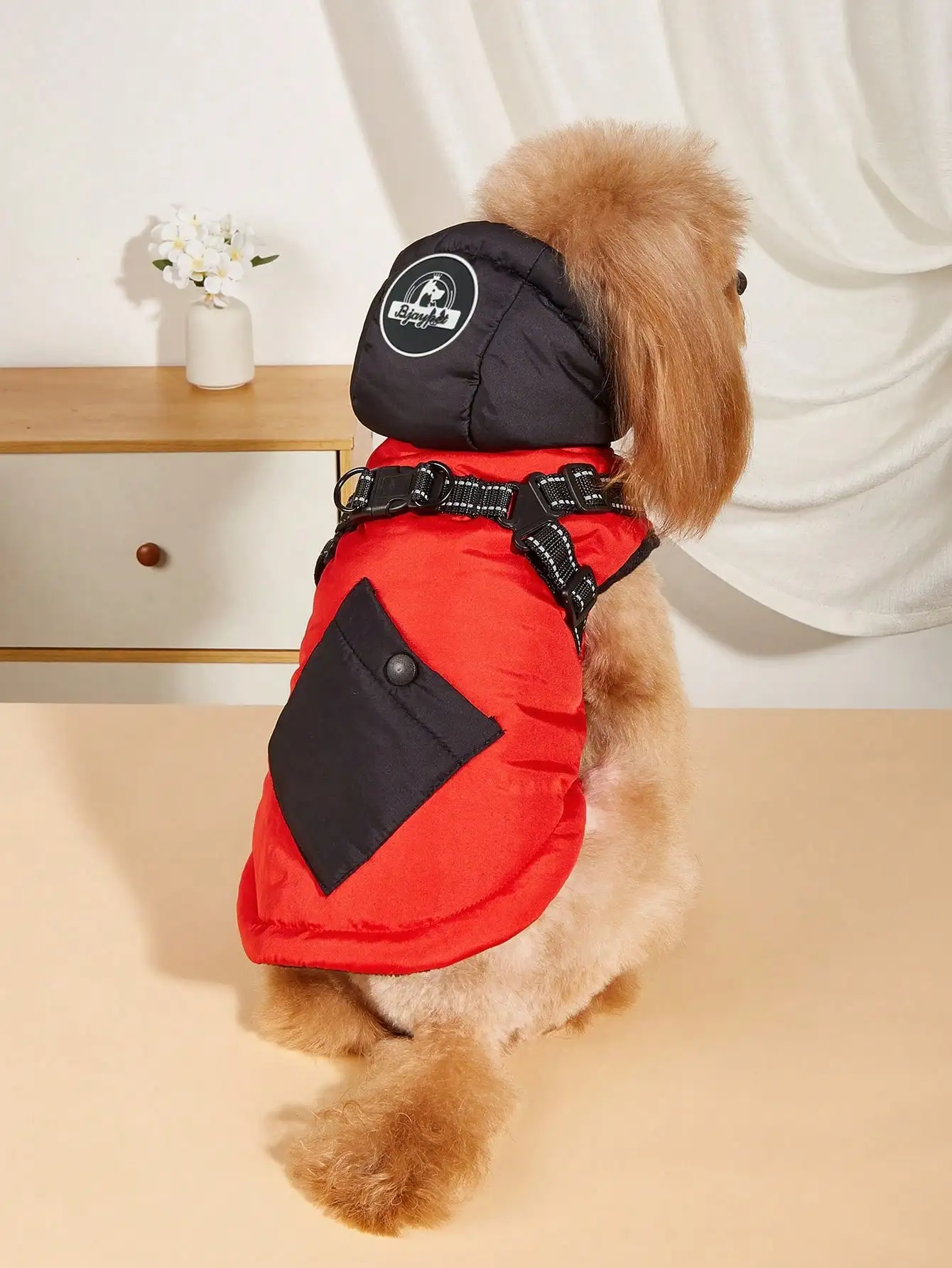 Manteau à capuche pour chien