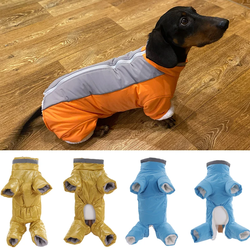 Combinaison d'hiver pour chihuahua, teckel et bichon