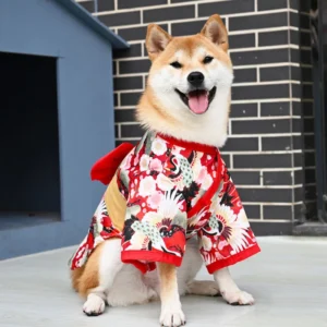 Manteau japonais chien pour Halloween