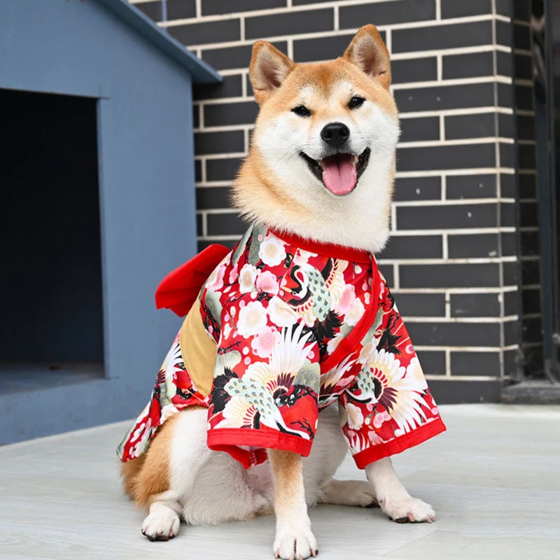 Manteau japonais chien pour Halloween