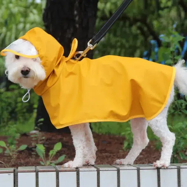 Imperméable jaune pour chien