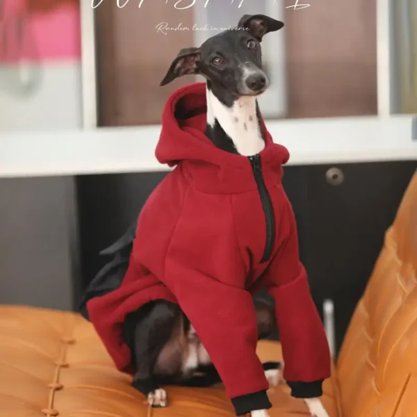 Mode à capuche Whippet lévrier italien vêtements avec fermeture éclair chaud chien sweat italien Iggy manteau Whippet vêtements en hiver