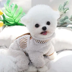 Manteau pour chien d'hiver avec boucle