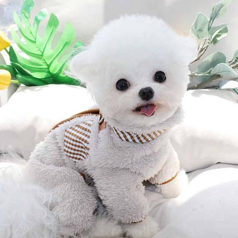 Manteau pour chien d'hiver avec boucle