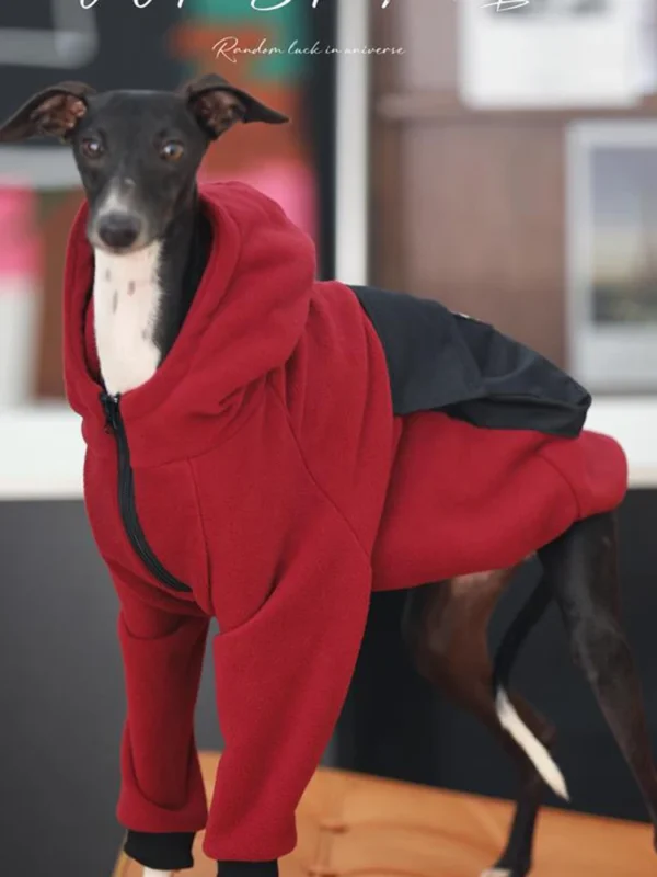 Mode à capuche Whippet lévrier italien vêtements avec fermeture éclair chaud chien sweat italien Iggy manteau Whippet vêtements en hiver – Image 4