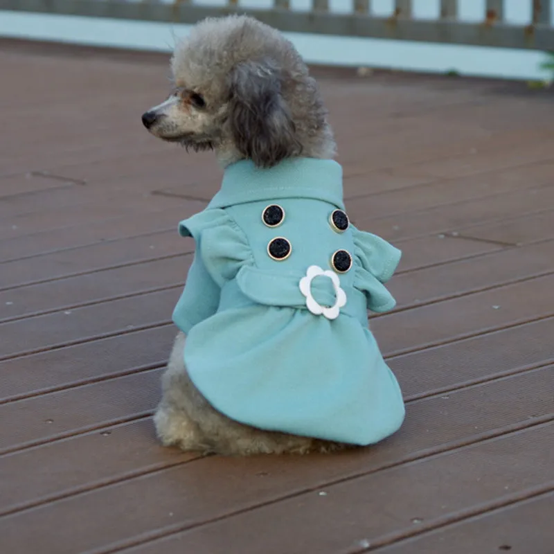 Manteau de demi-saisons pour chien avec ceinture