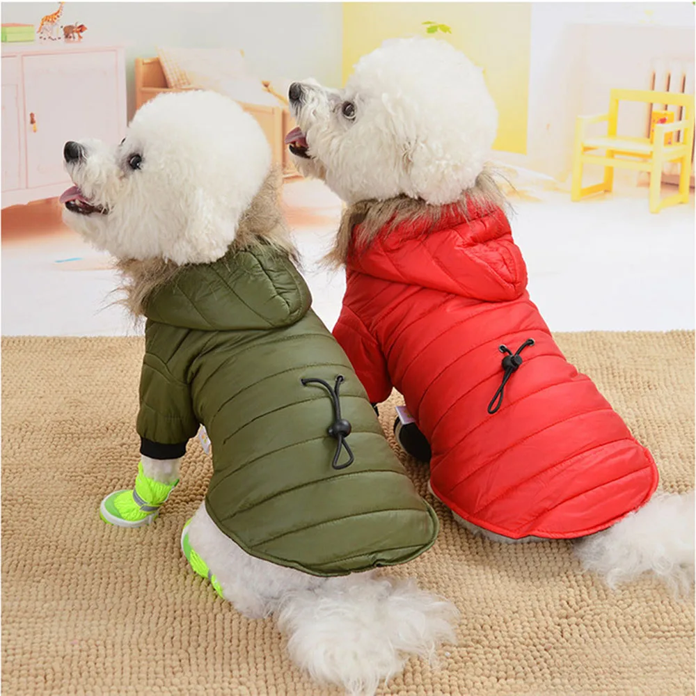 Manteau chaud, rembourré à capuche pour petit chien
