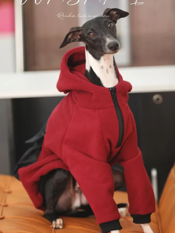 Mode à capuche Whippet lévrier italien vêtements avec fermeture éclair chaud chien sweat italien Iggy manteau Whippet vêtements en hiver – Image 3