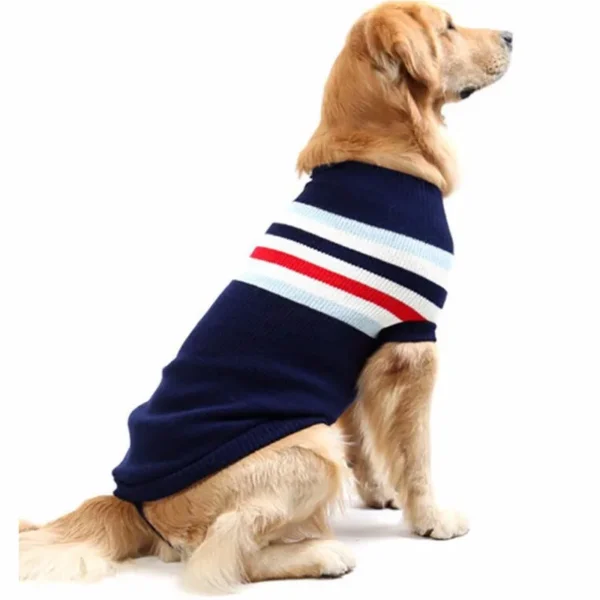 Pull pour chien d'hiver