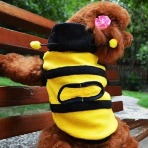 Costume d'abeille pour chien à capuche pour halloween