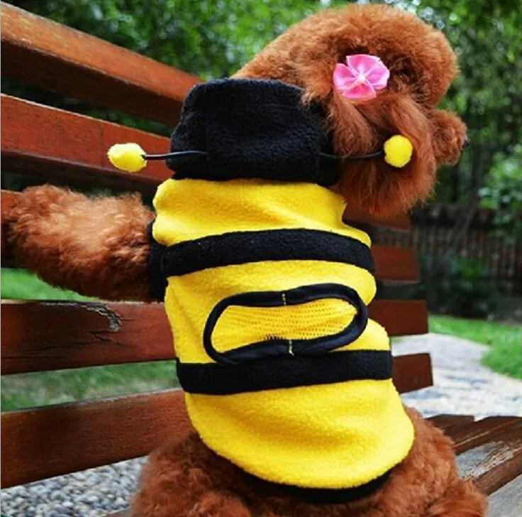 Costume d'abeille pour chien à capuche pour halloween